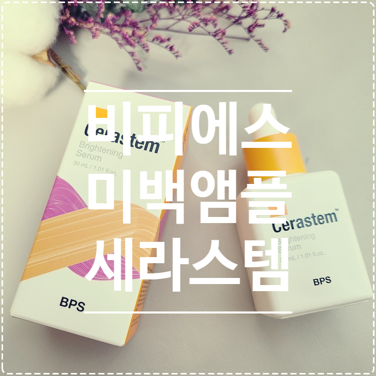 비피에스 이미지