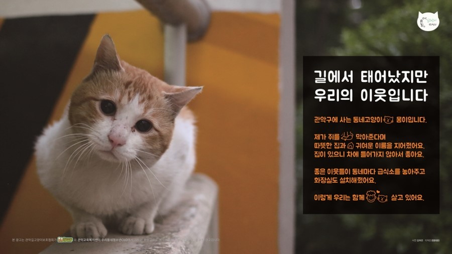 삼팔이 이미지