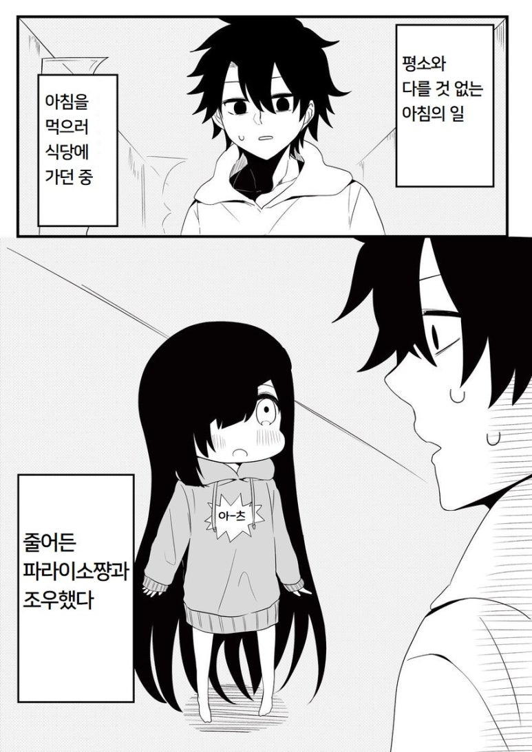 파라이소 이미지