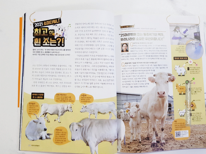 백우기획 이미지