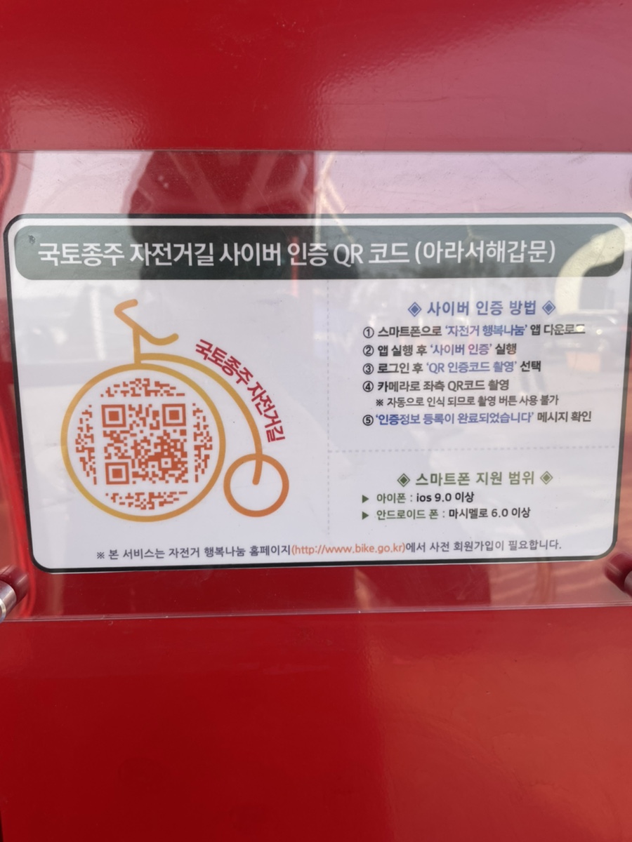 욜로아라 이미지