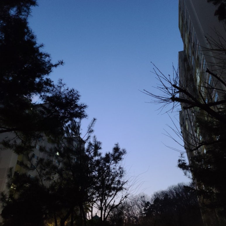 라비갤러리카페 이미지