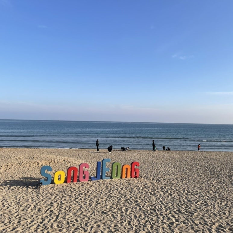 또오기 이미지