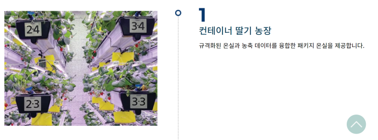 퍼밋랜드 이미지