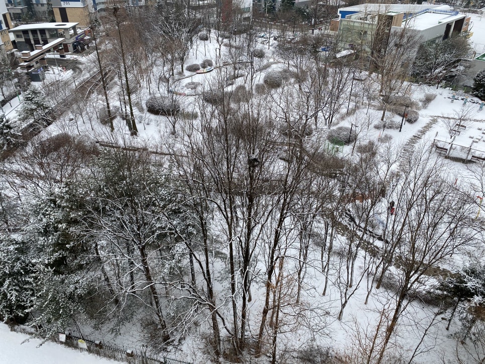 푸른크리닝 이미지