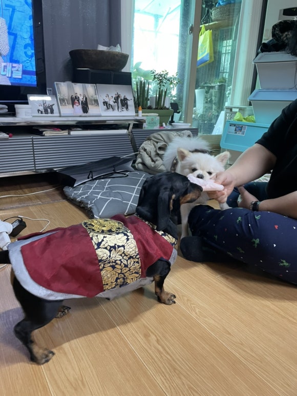 허브아일랜드한탄강점 이미지