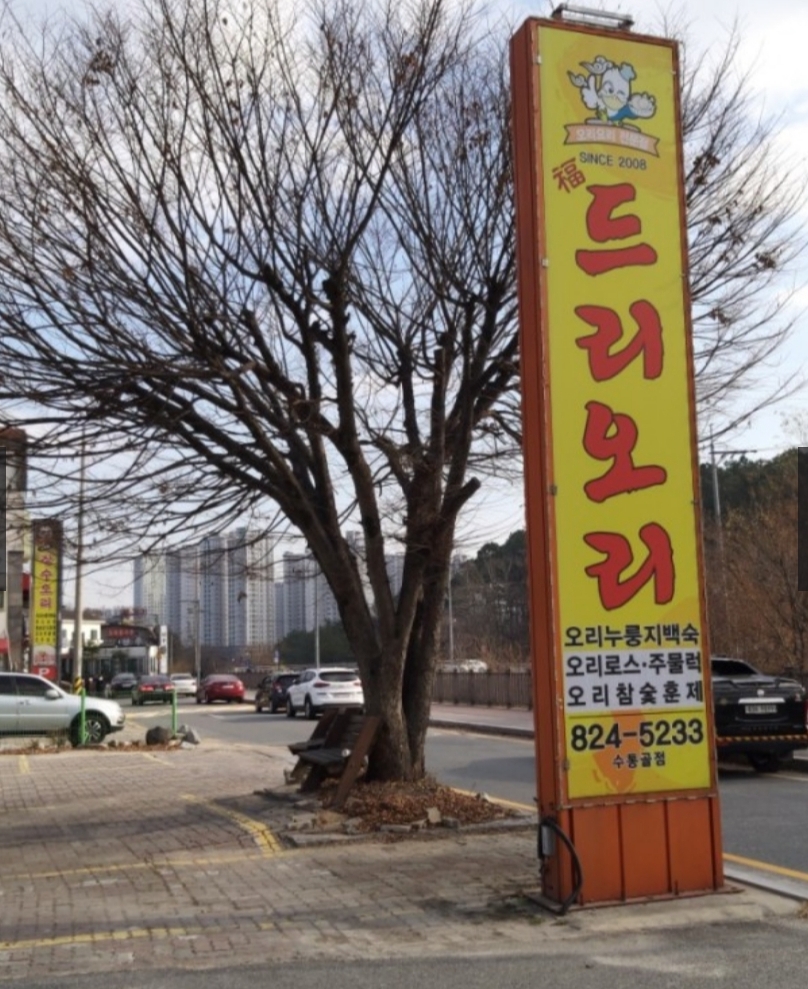 복드리오리 이미지
