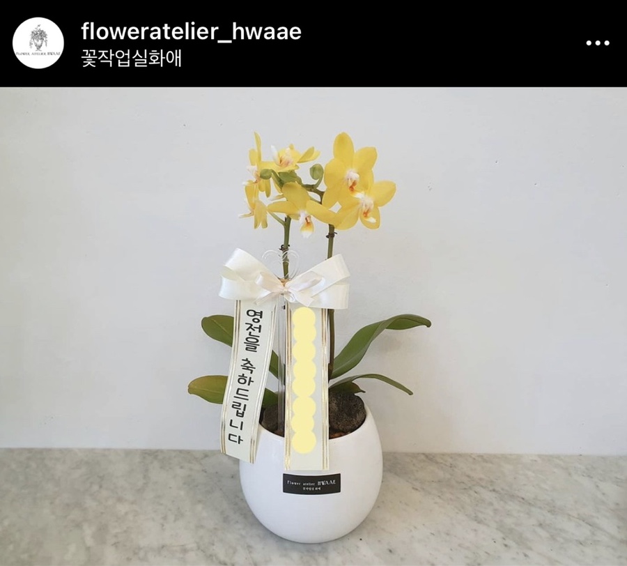 꽃작업실화애 이미지
