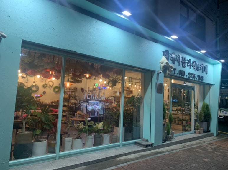 테레사플라워 이미지