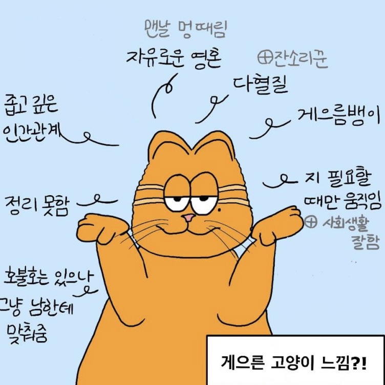 시장닭발 이미지