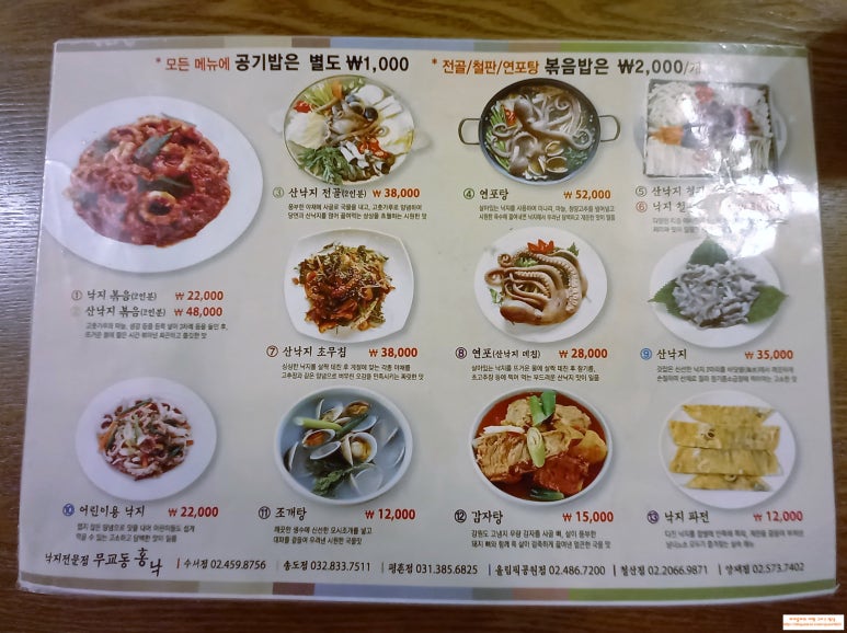 낙지무교동홍낙 이미지