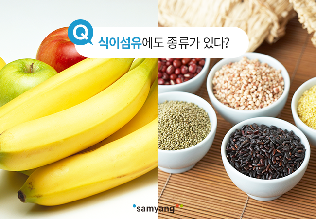 용성섬유 이미지