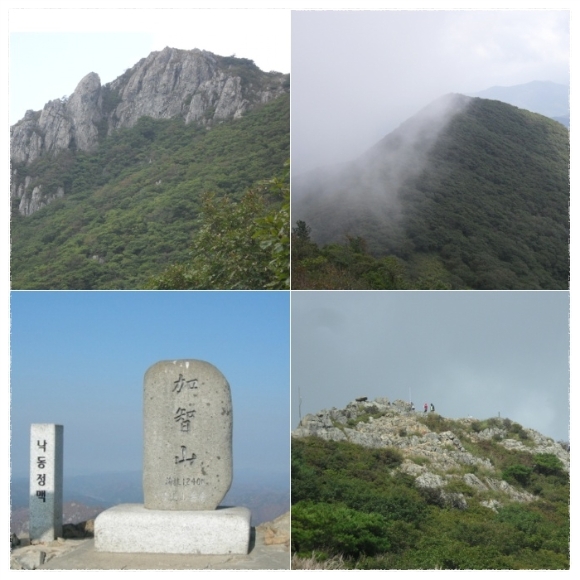용수골전망대 이미지