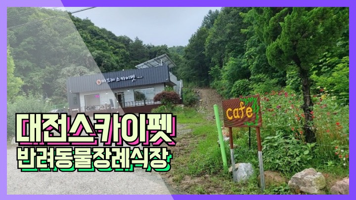 대전스카이펫 이미지
