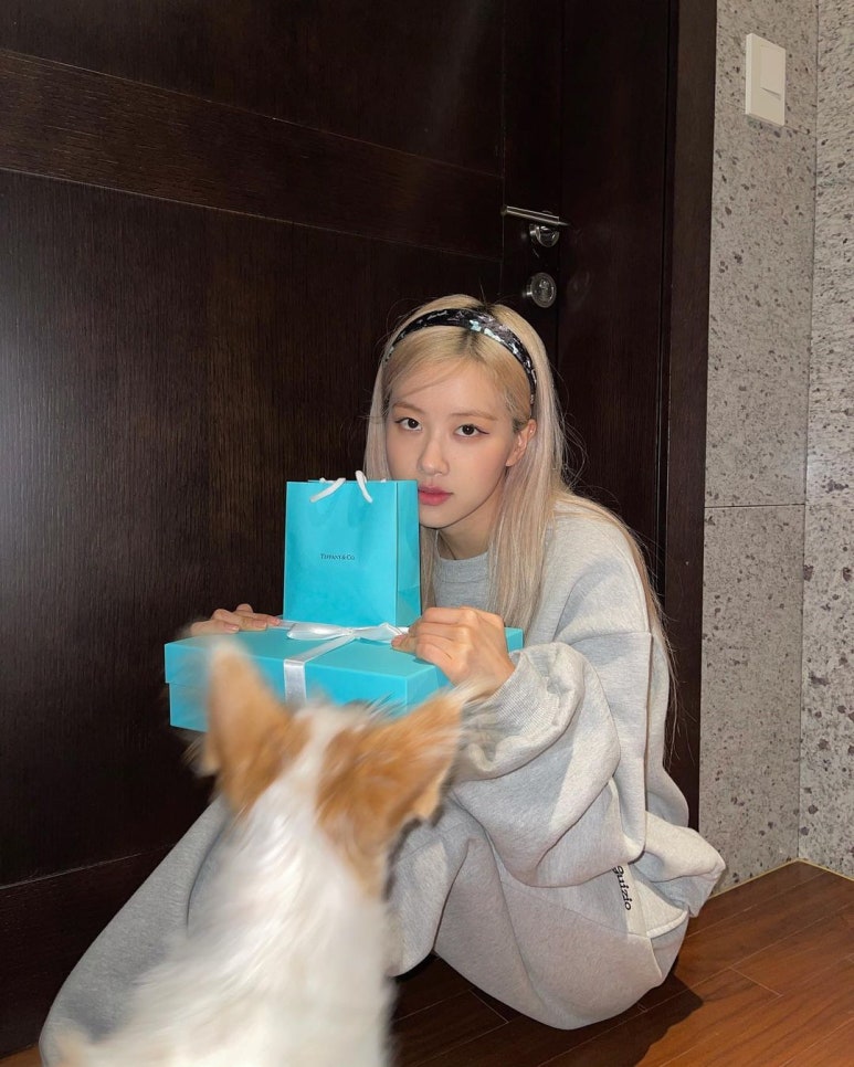 이즈로제 이미지