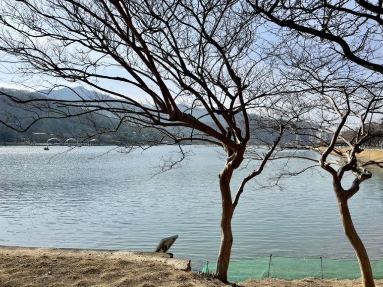동성로왕찹쌀꽈배기 이미지