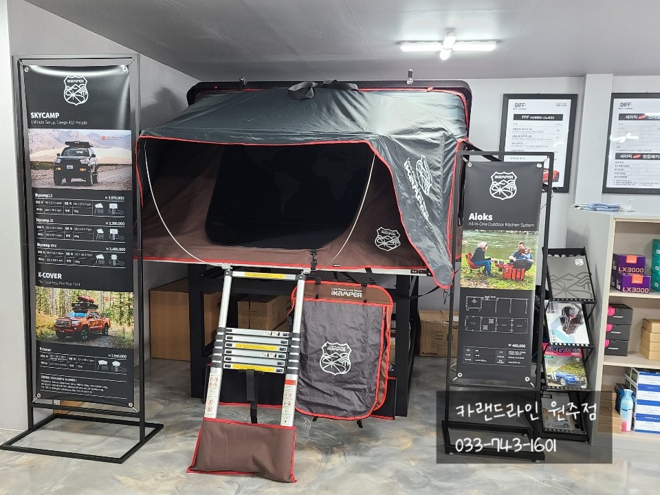 카랜드라인 이미지