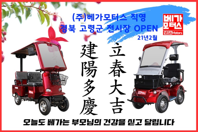 베가모터스 이미지