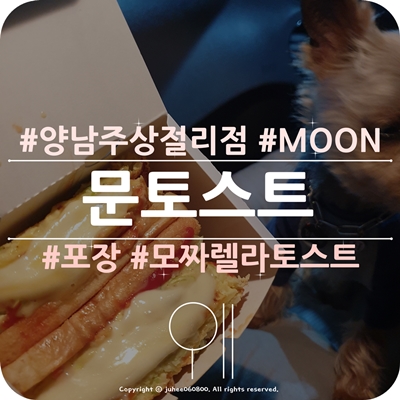 문토스트양남주상절리점 이미지