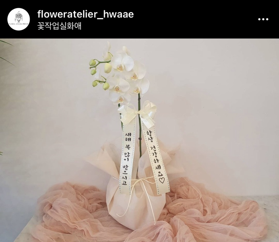 꽃작업실화애 이미지