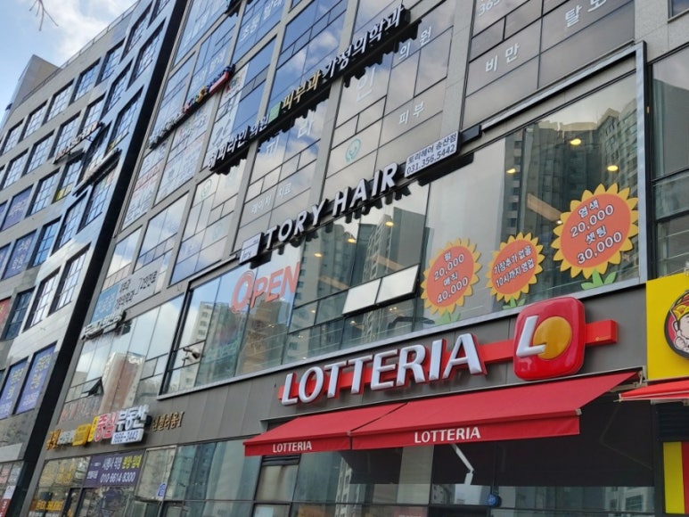 토리헤어송산 이미지
