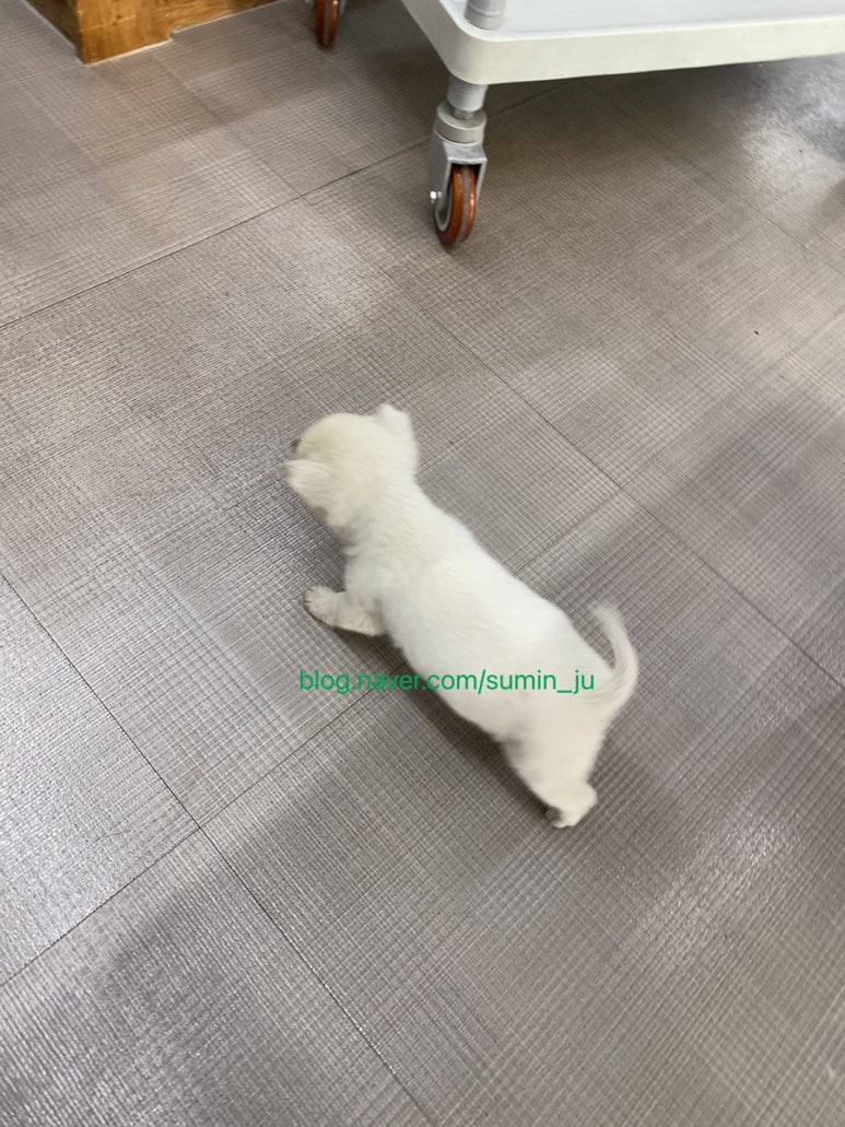 옛고향식당 이미지