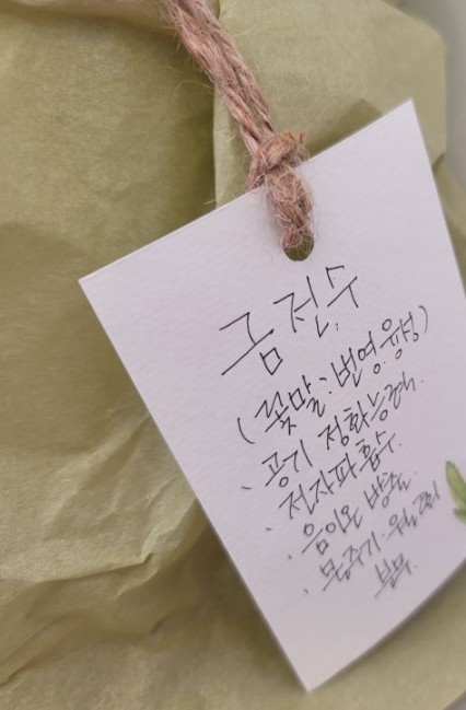 에그드랍 수영점 이미지