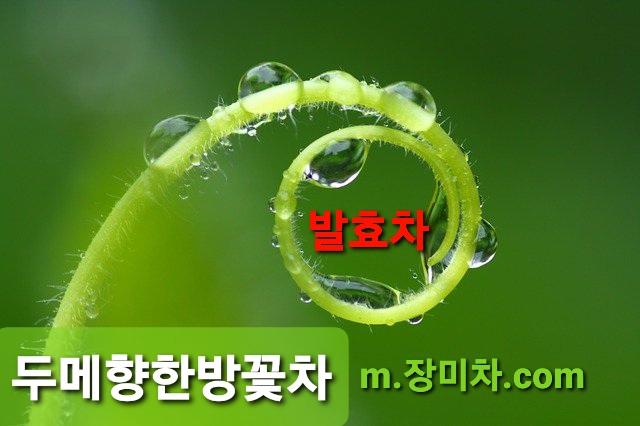 두메향한방꽃차 농업회사법인주식회사 이미지
