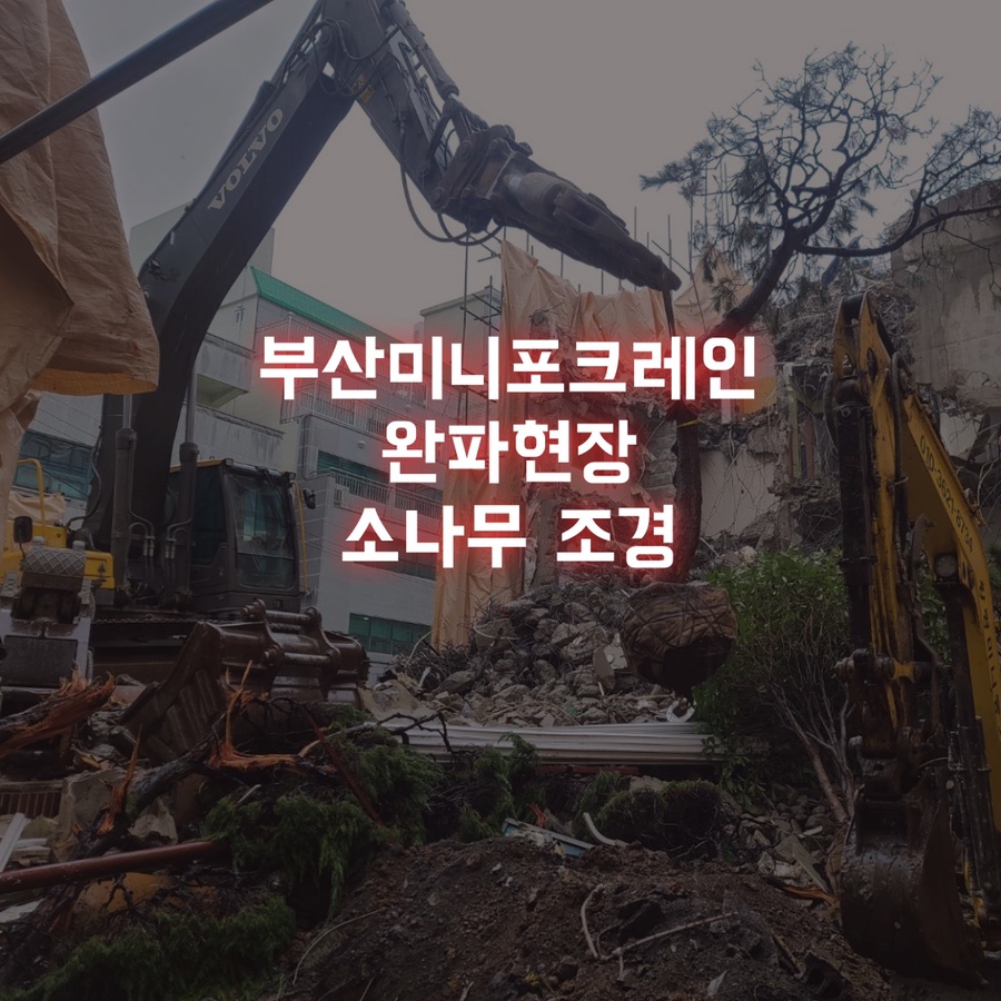 일광중기 이미지