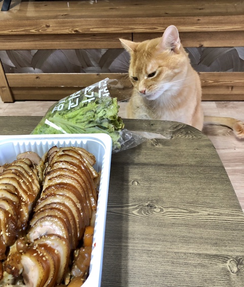 옥자네족발 이미지