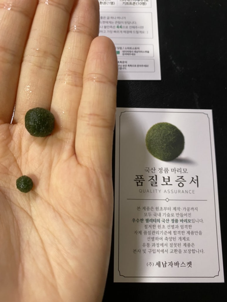리모다 이미지