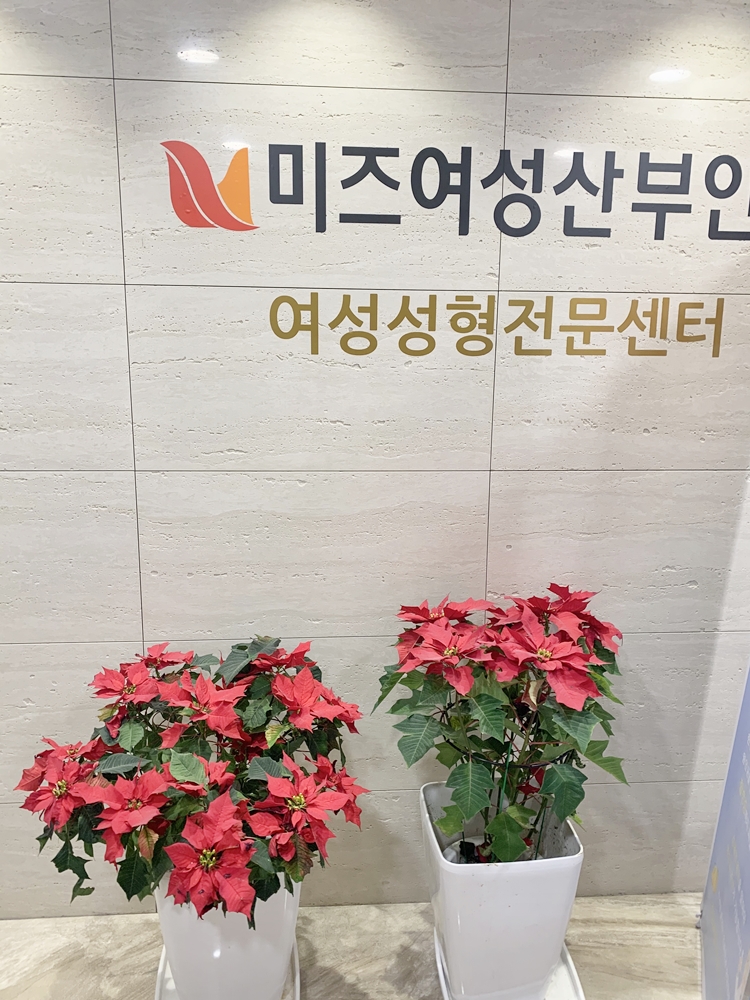 미즈여성산부인과의원 이미지