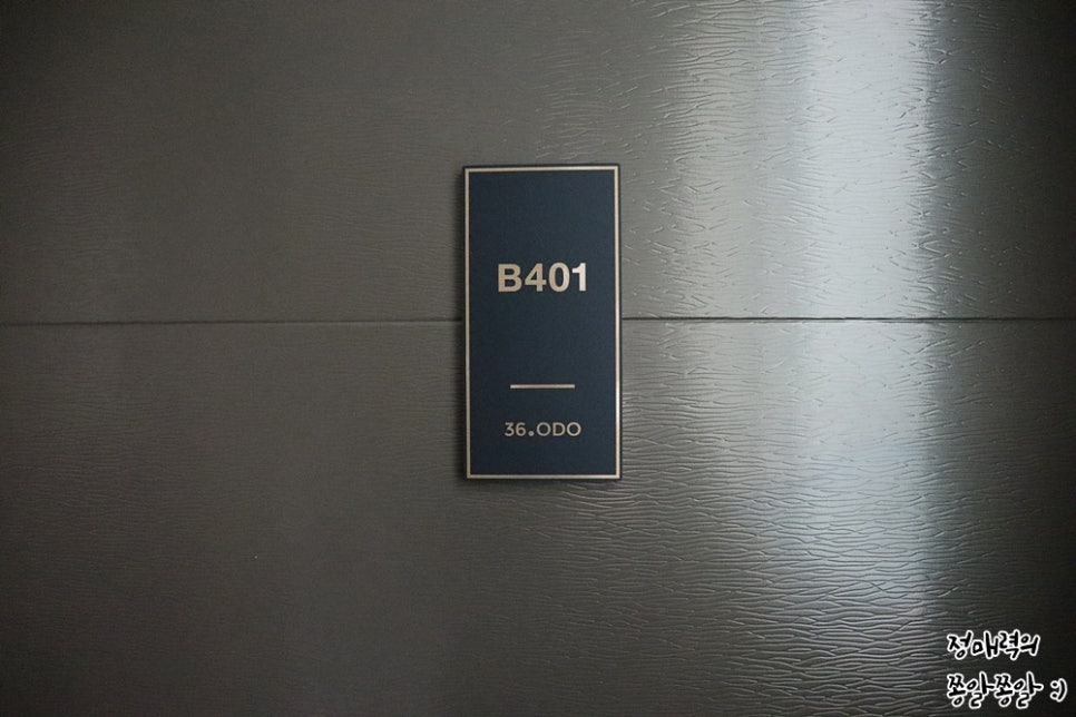 36.오도B 이미지