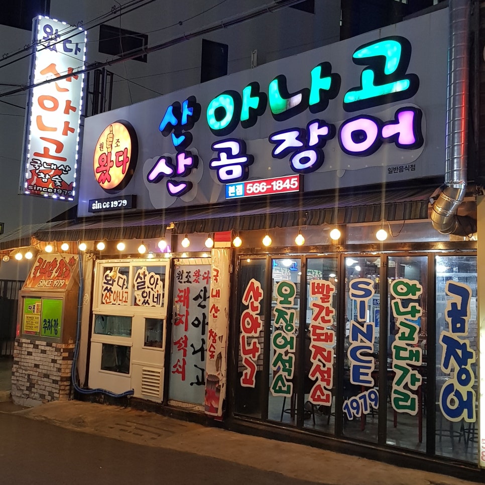 왔다산아나고 이미지