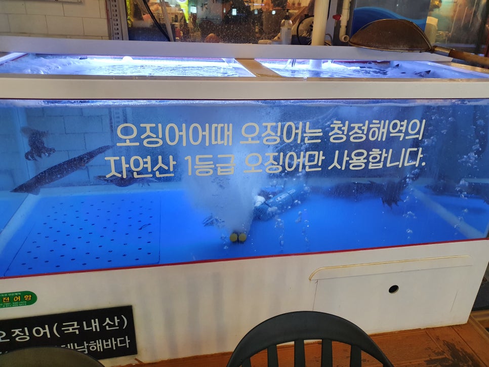 청정산오징어 이미지