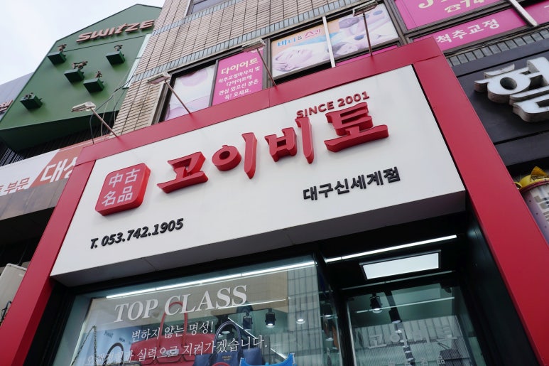 고이비토대구모다 이미지