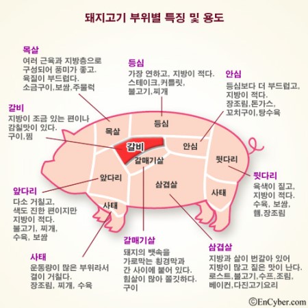 숯불위에돼지 이미지