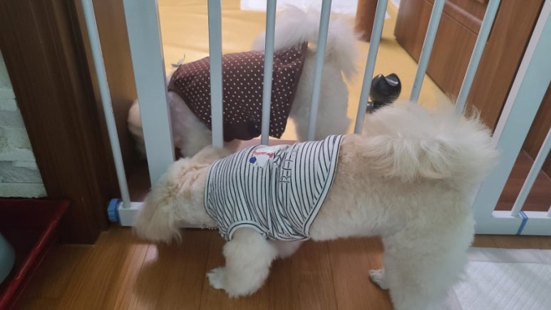 룰루랄라 이미지