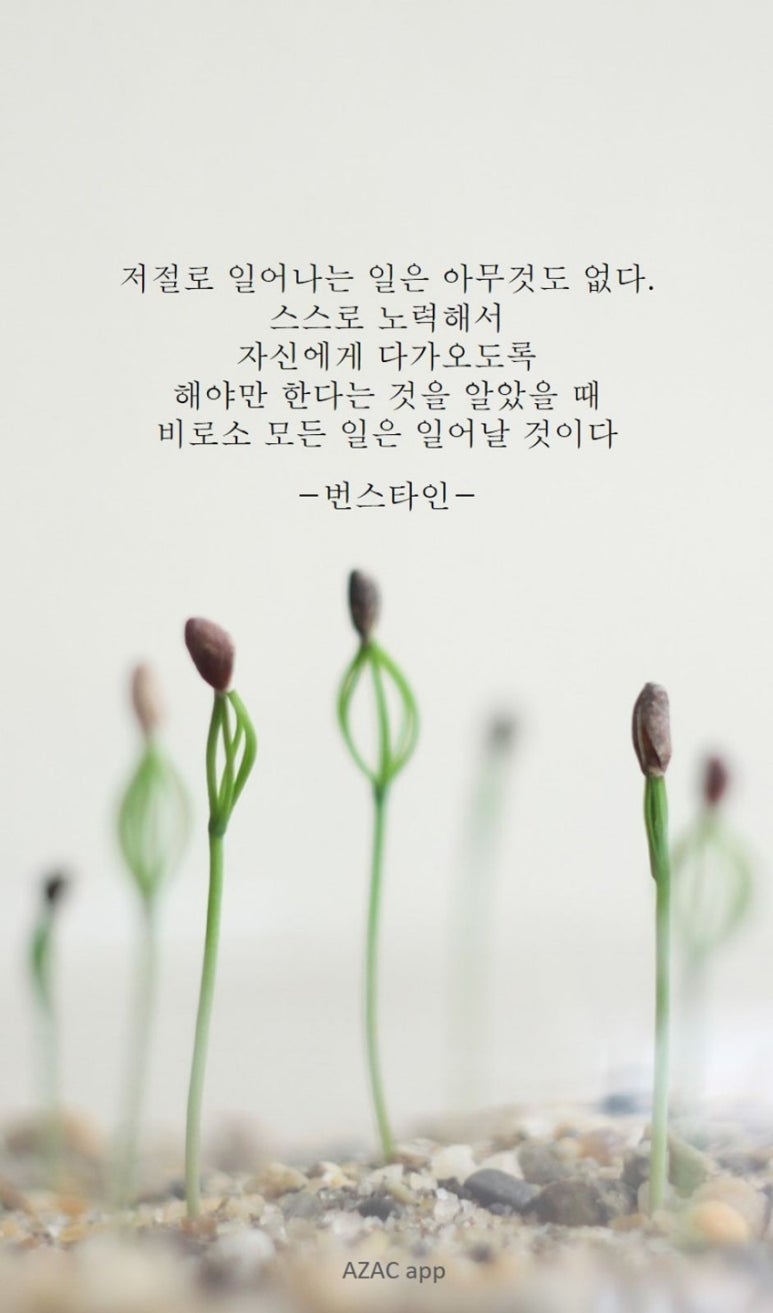 꿀돼지솥뚜껑삼겹살 이미지