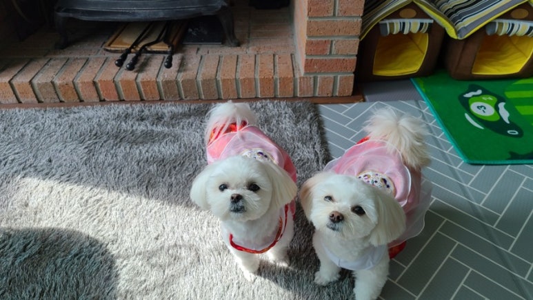룰루랄라 이미지