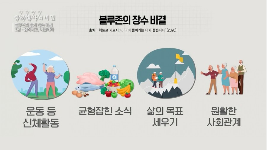 와이에스기획 이미지