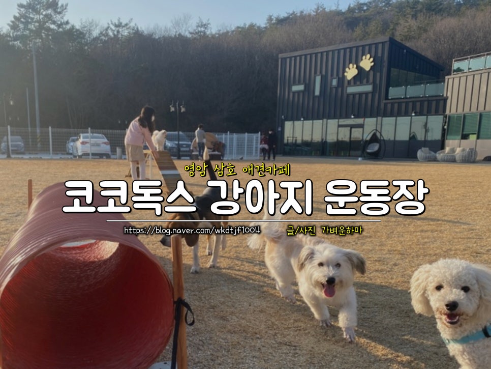 코코독스 이미지