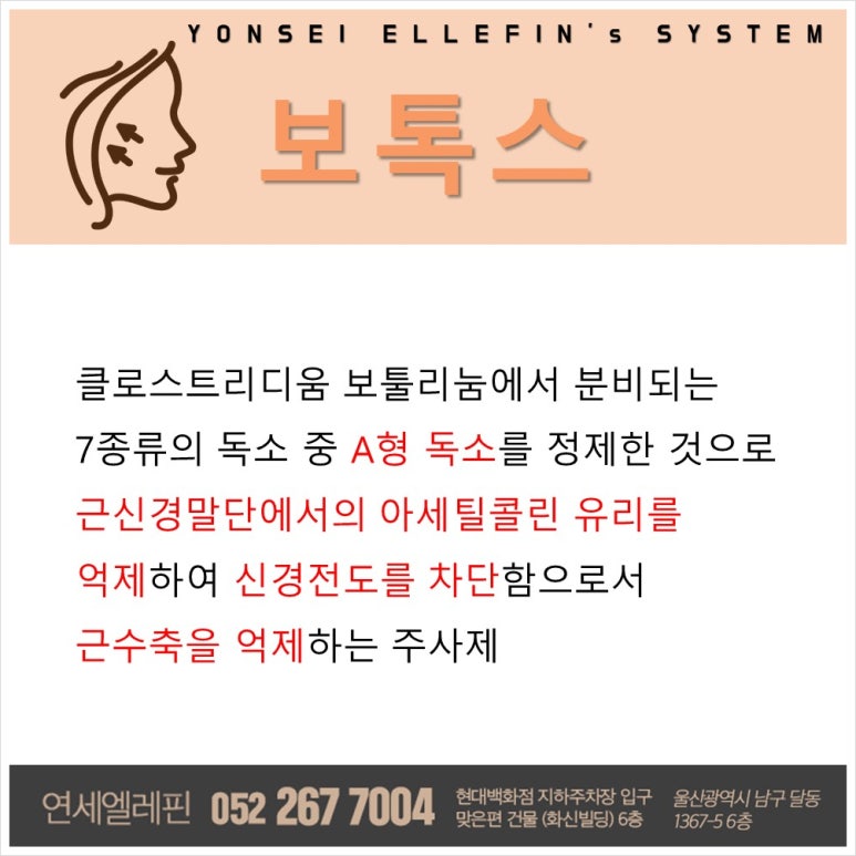 연세엘레핀의원 이미지