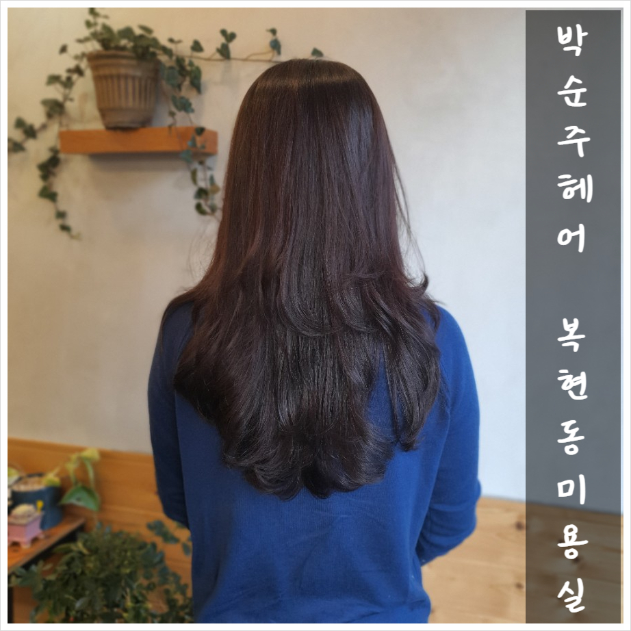 박순주헤어 이미지