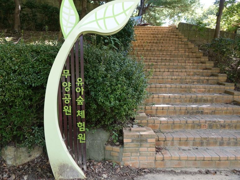 사직공원 유아숲체험원 이미지
