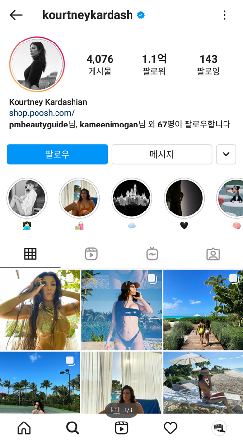 집톡스 이미지