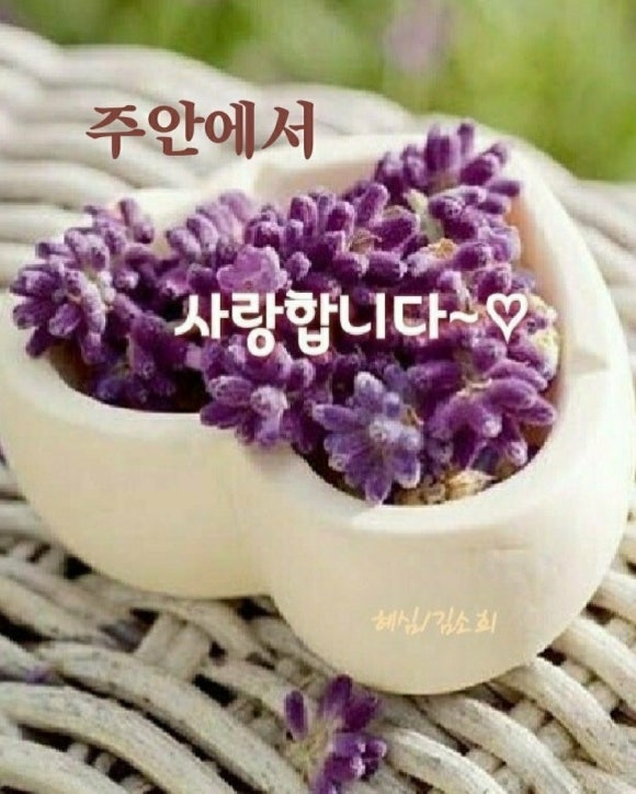 꼬망쎄 이미지