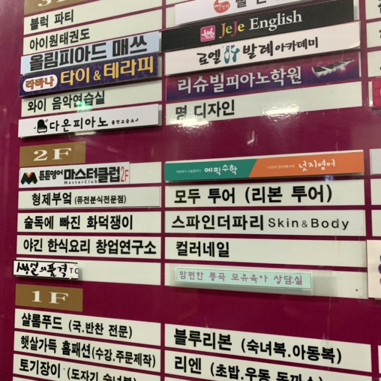 스파인더파리 이미지