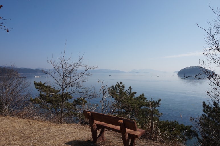 뉴월드양식센터 이미지