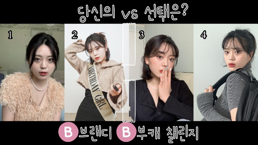 브랜디즈 이미지